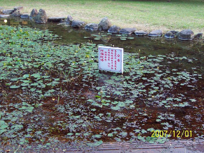 100_1923.JPG