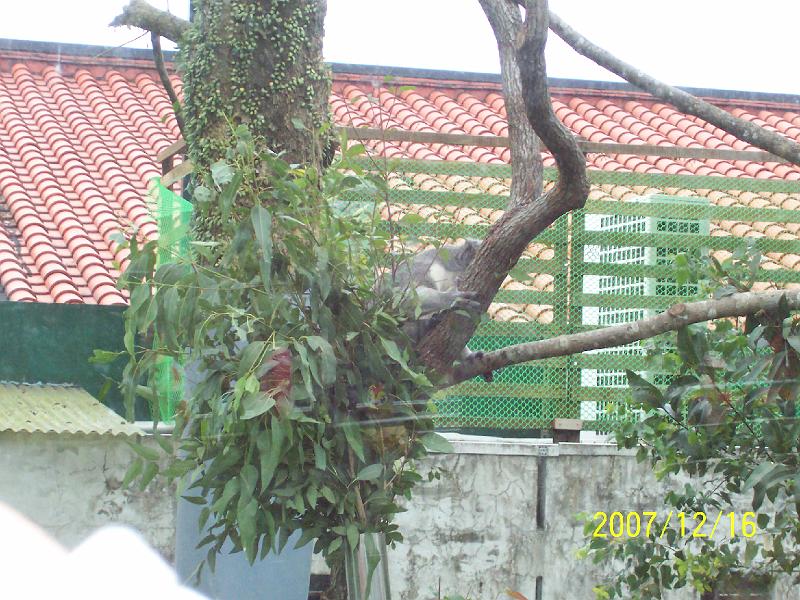 100_2028.JPG