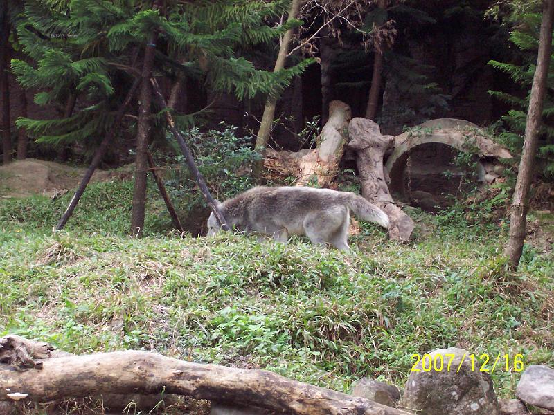 100_2040.JPG