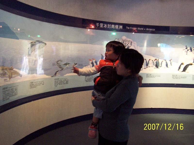 100_2044.JPG