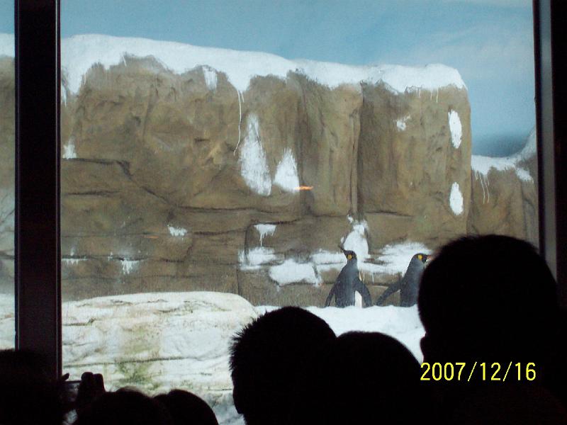 100_2046.JPG
