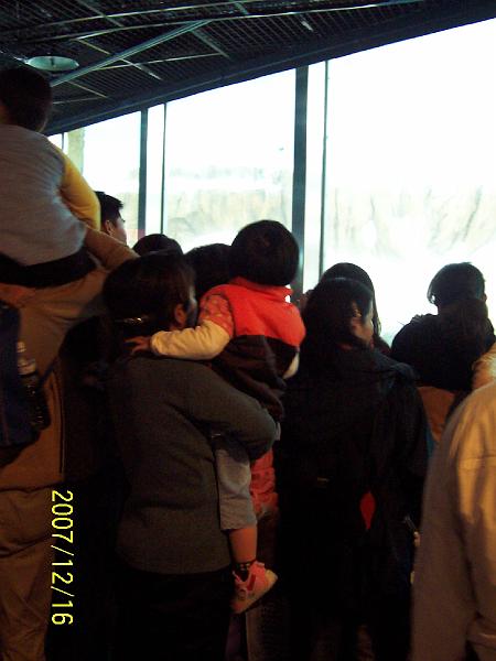 100_2052.JPG