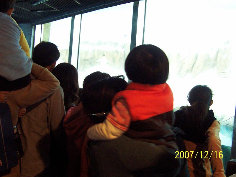100_2053.JPG