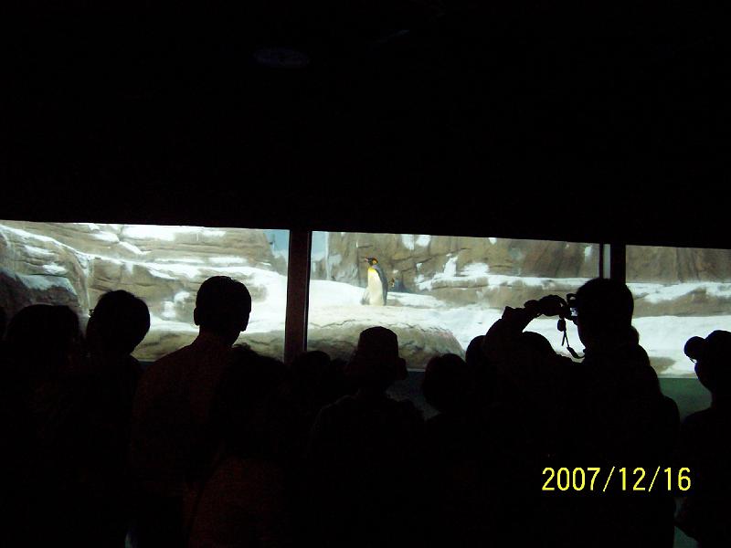 100_2057.JPG
