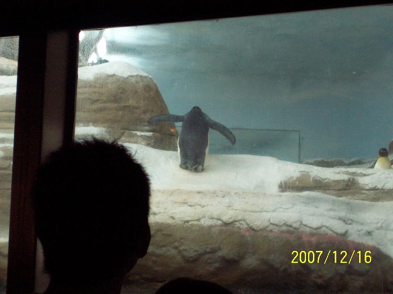 100_2058.JPG