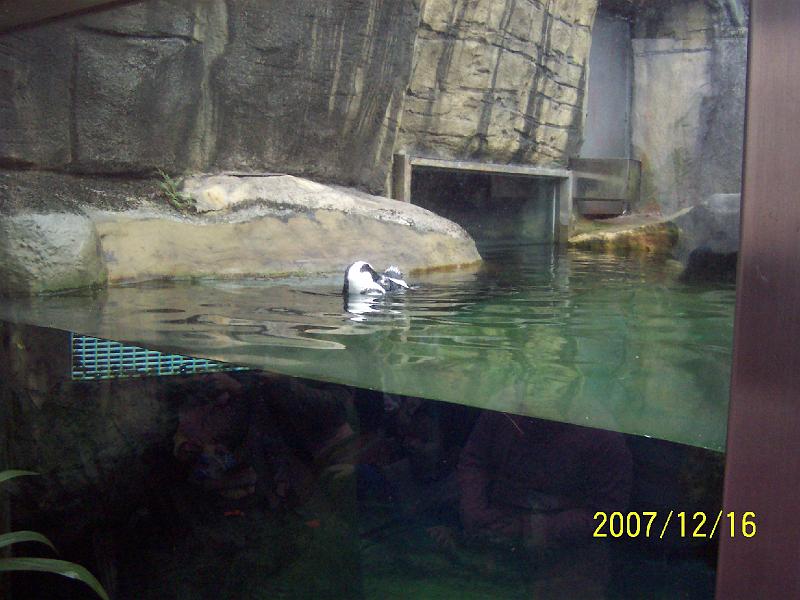 100_2059.JPG