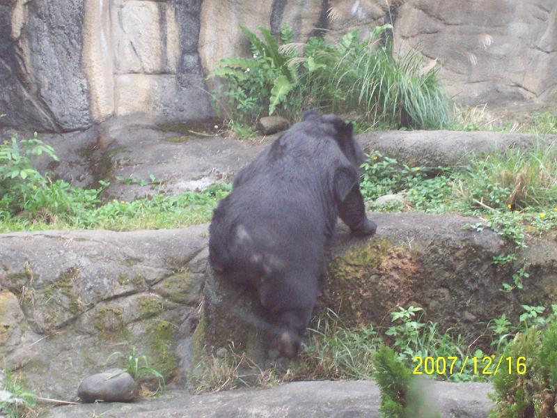 100_2073.JPG