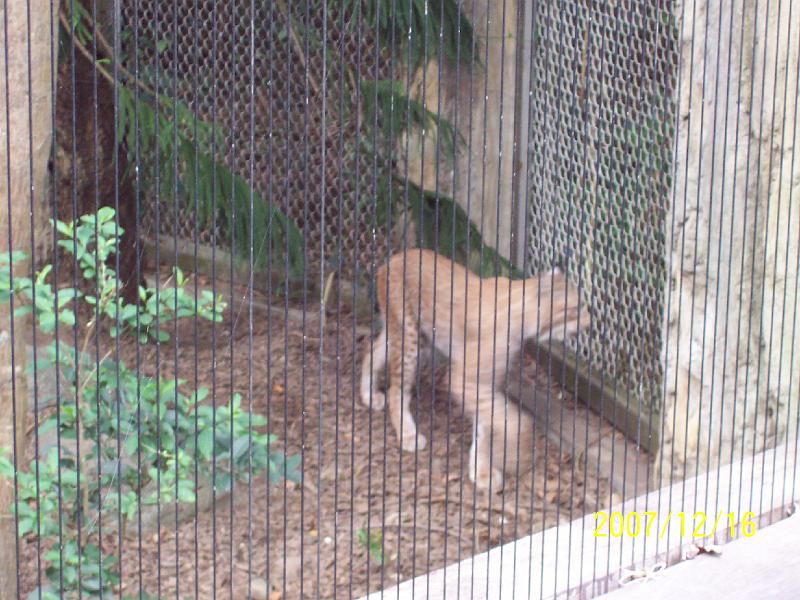 100_2074.JPG