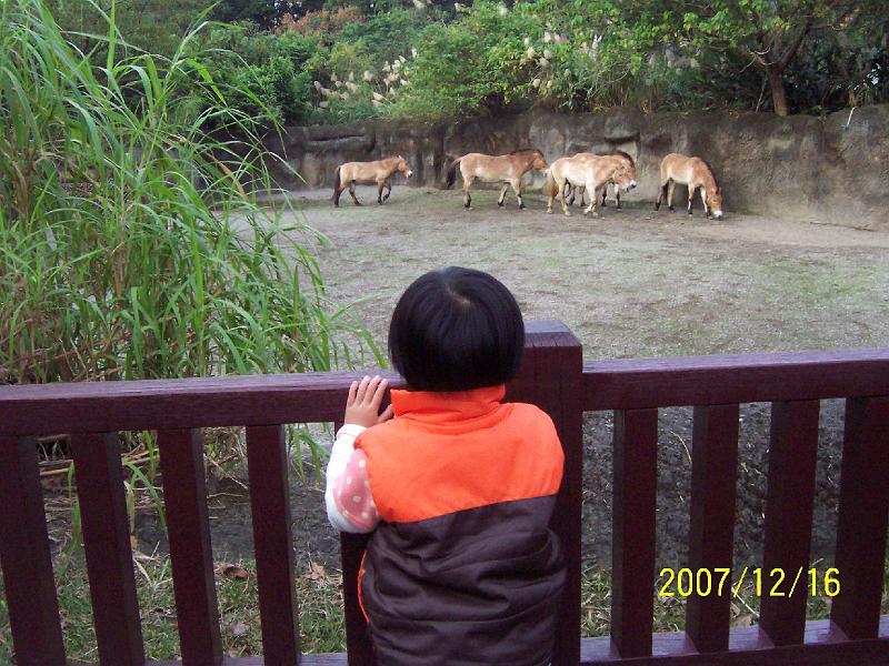 100_2076.JPG