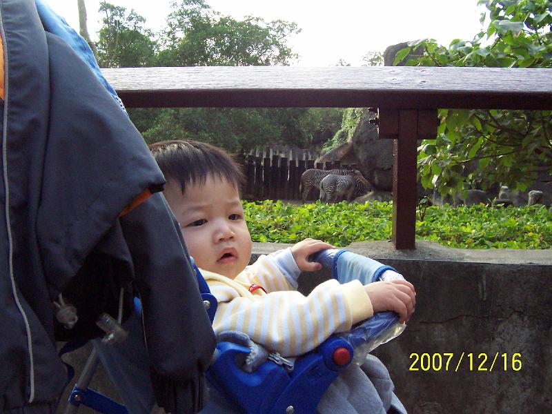 100_2078.JPG