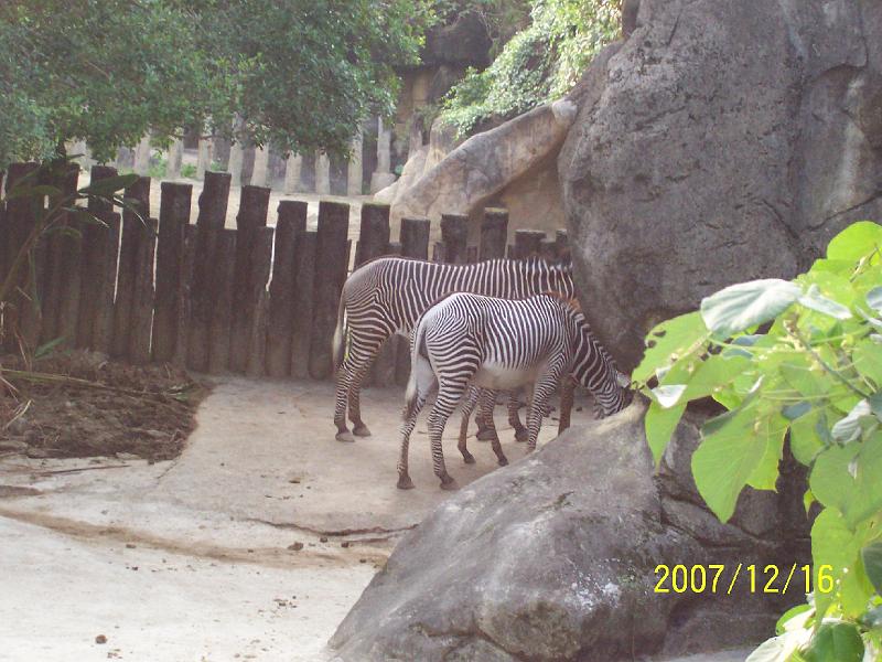 100_2079.JPG