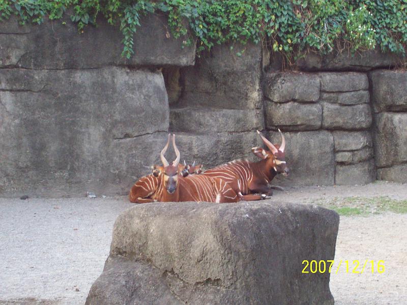 100_2089.JPG