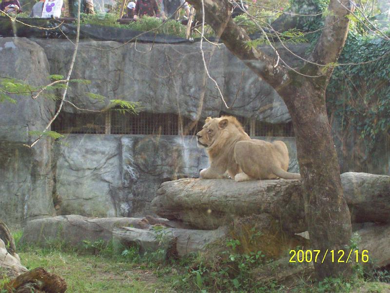 100_2092.JPG