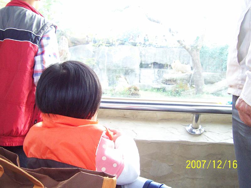 100_2093.JPG