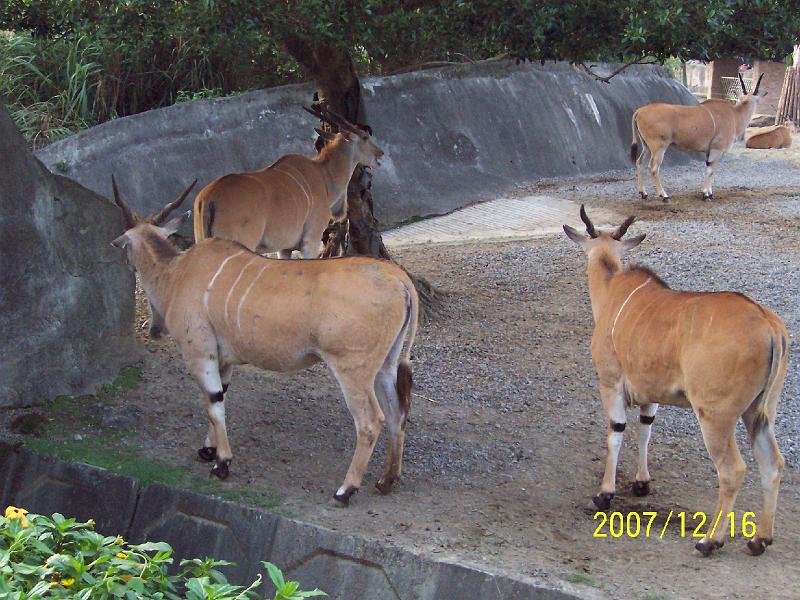 100_2094.JPG
