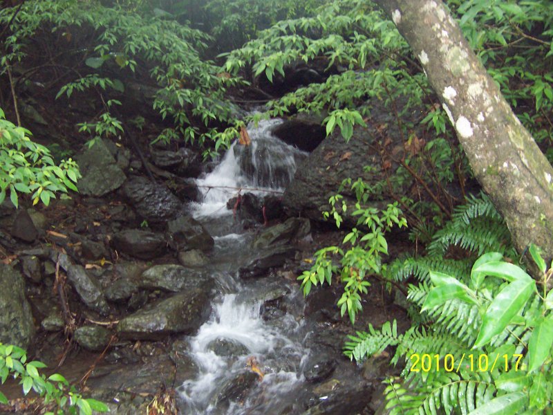 100_4518.JPG