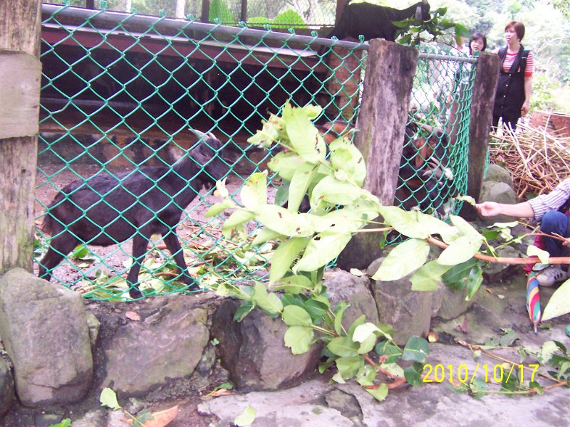 100_4537.JPG