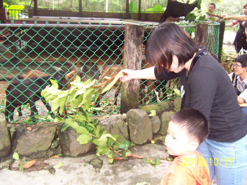 100_4539.JPG