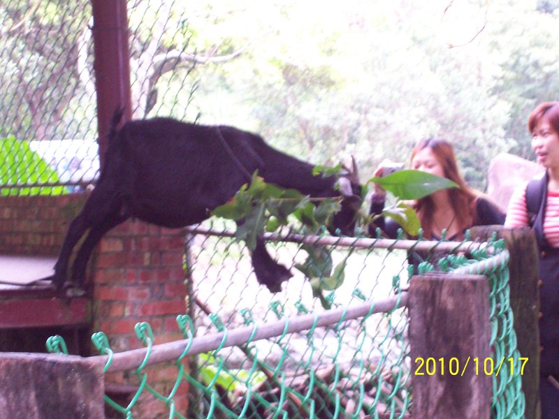100_4541.JPG