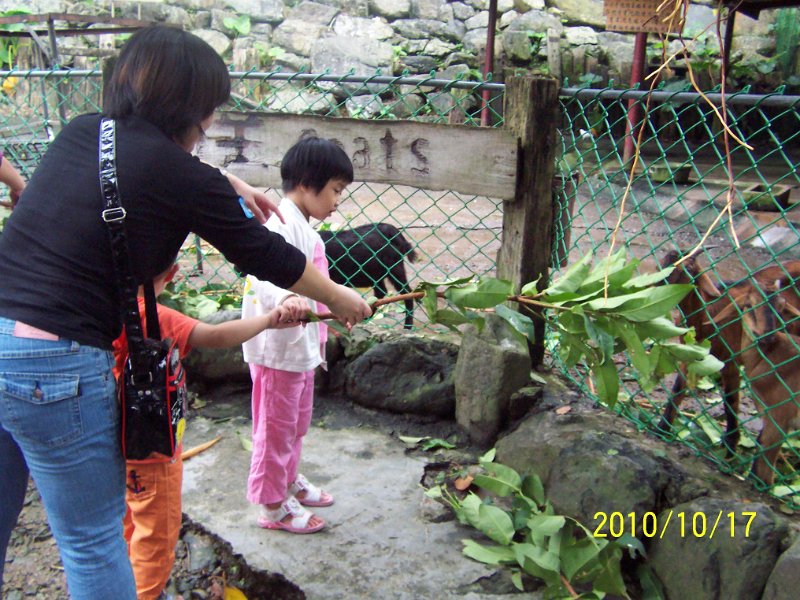 100_4543.JPG