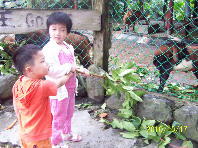 100_4545.JPG