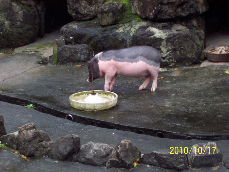 100_4547.JPG