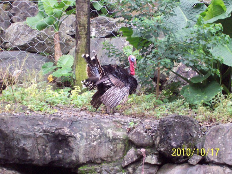 100_4548.JPG