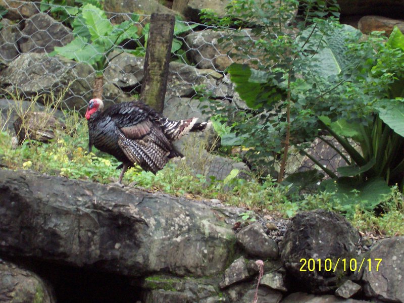 100_4549.JPG