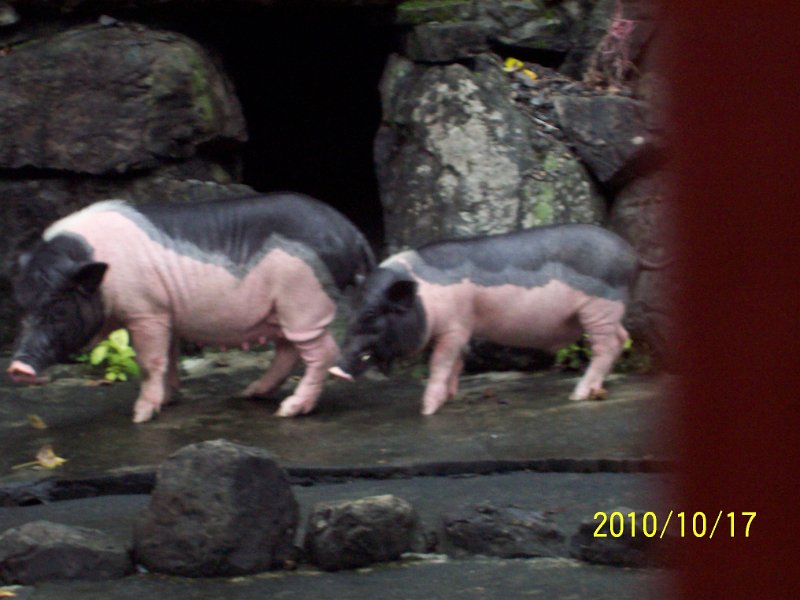 100_4550.JPG