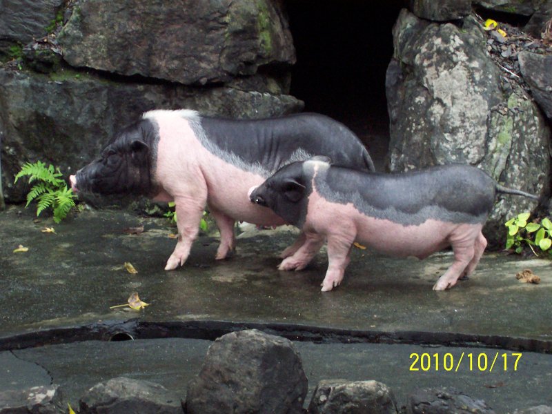 100_4551.JPG