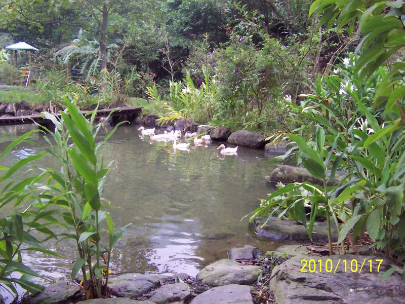 100_4552.JPG