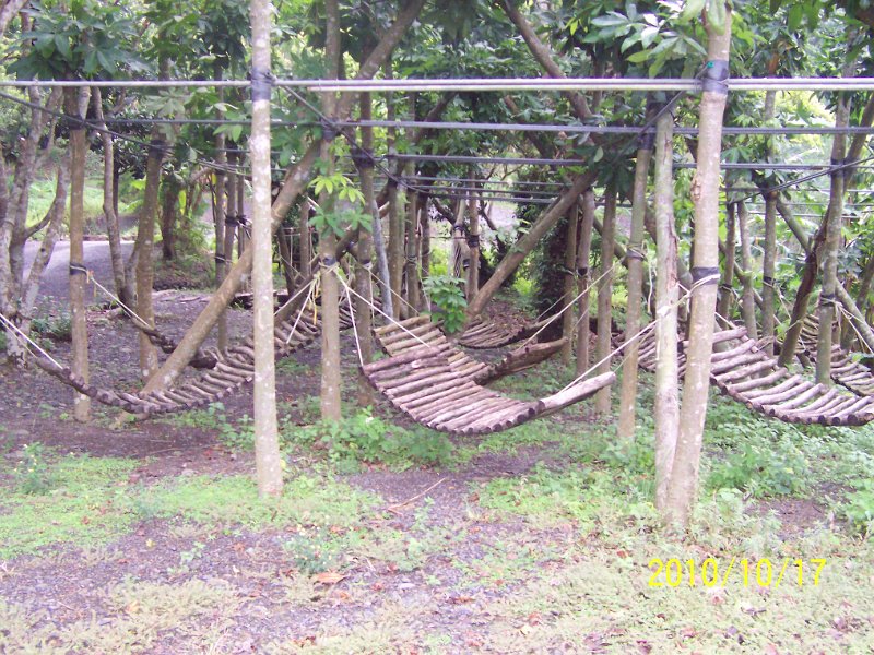 100_4553.JPG