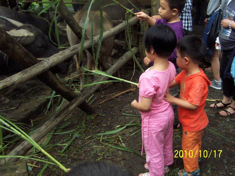 100_4568.JPG