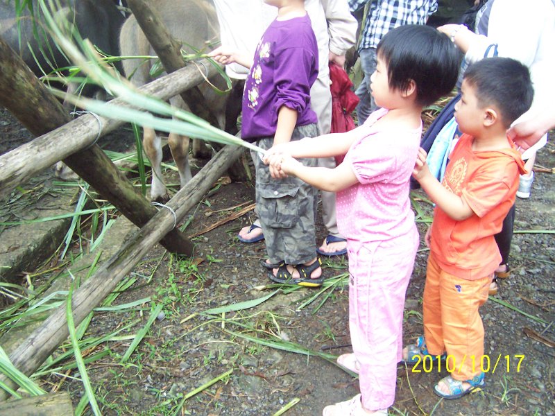 100_4570.JPG