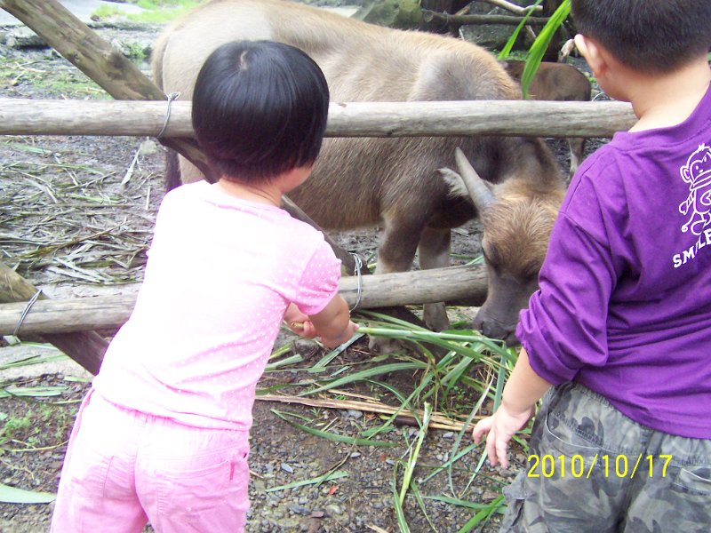 100_4574.JPG