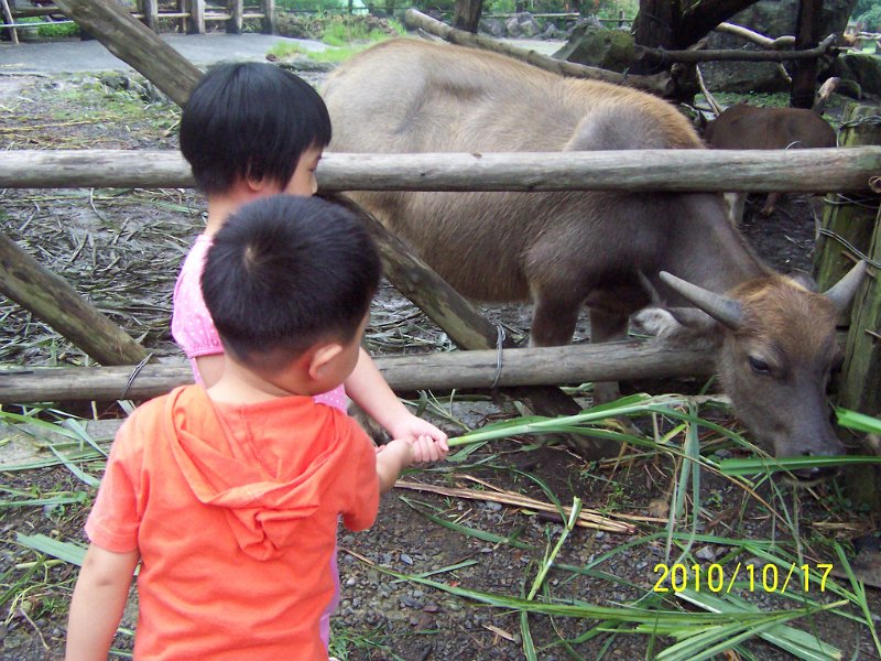 100_4575.JPG