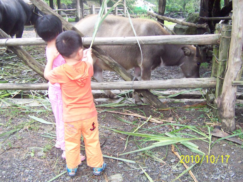 100_4576.JPG