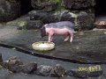 100_4547