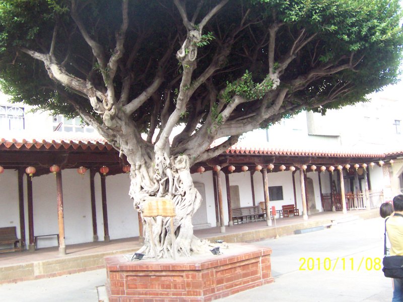 100_4701.JPG