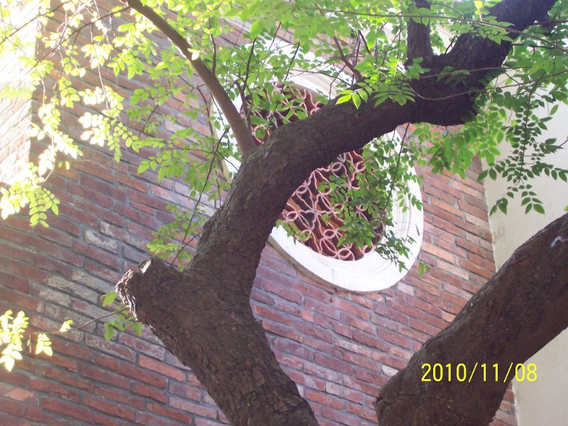 100_4712.JPG